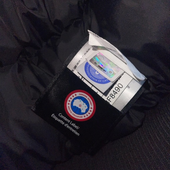 Canada goose - Picture 4 of 7